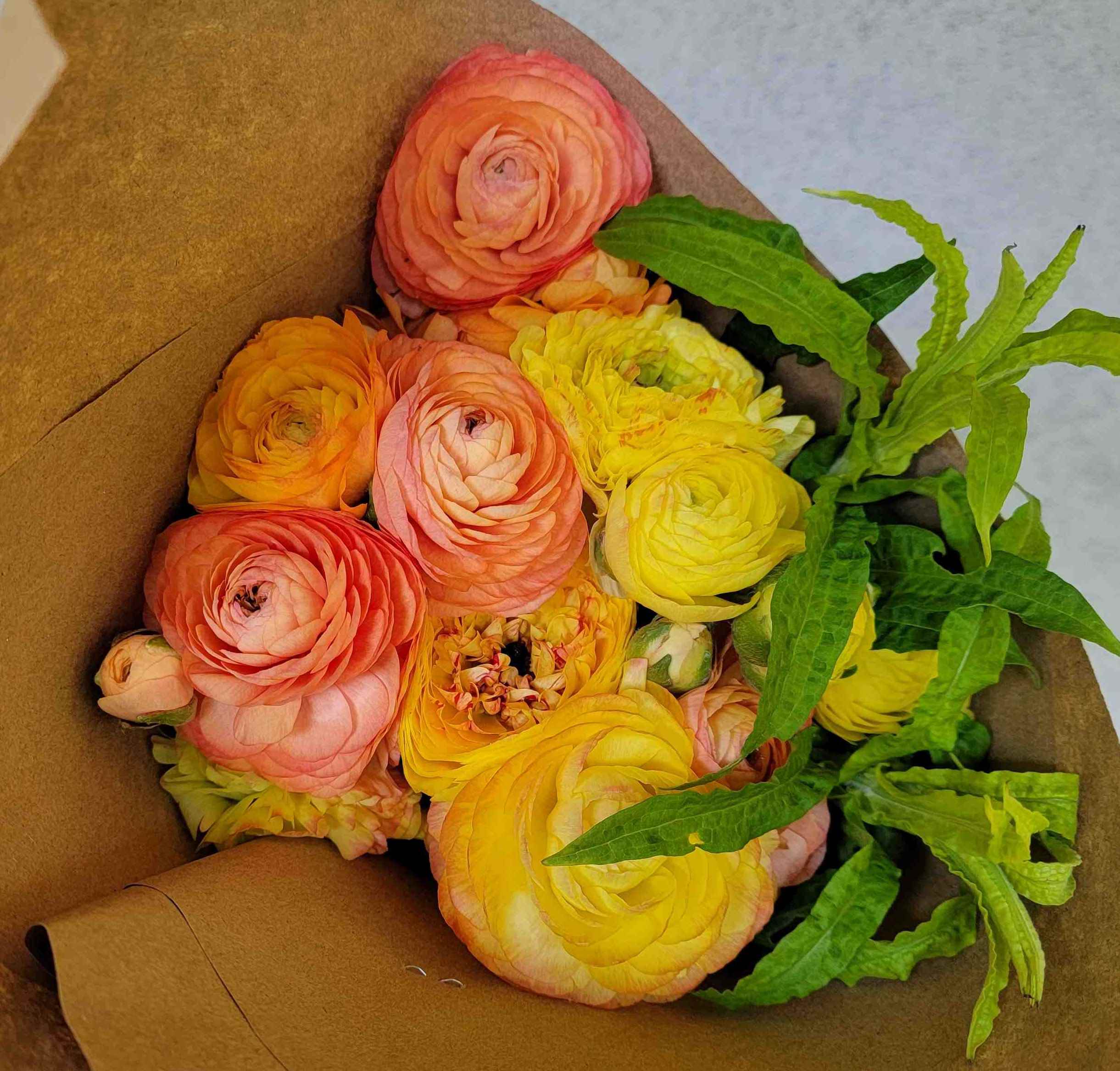 RANUNCULUS Subscription - TAKOMA PICK UP