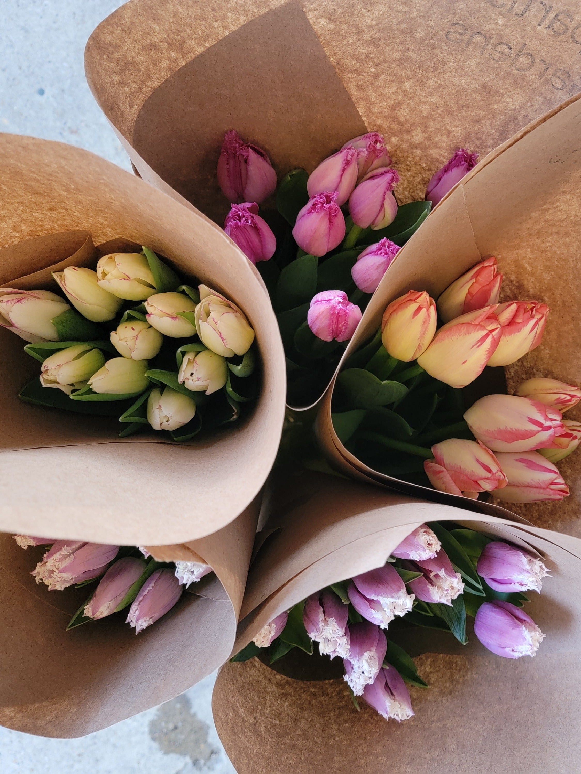 NEW!! Pre-Order specialty tulips for any day of the week TAKOMA pick up