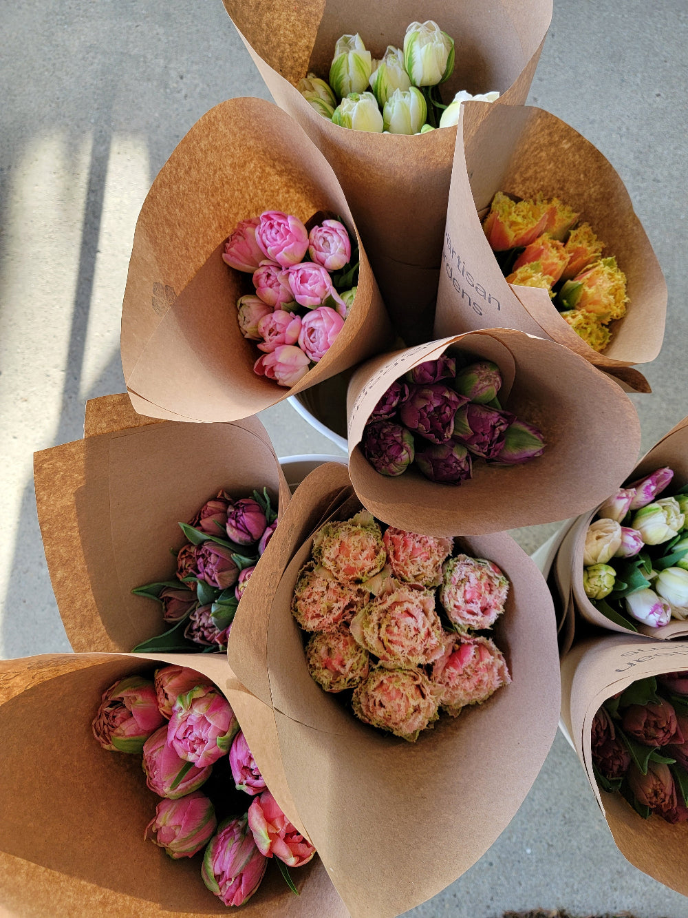 BANISH THE BROWN! Spring Tulip Subscription - PETWORTH PICK UP