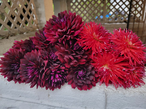 Bouquet of red and purple dahlias on a wooden surface