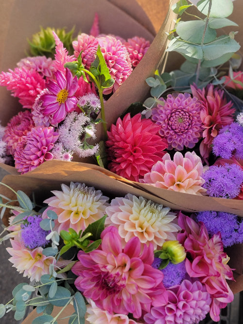 Colorful bouquet of flowers with a focus on pink and purple hues.