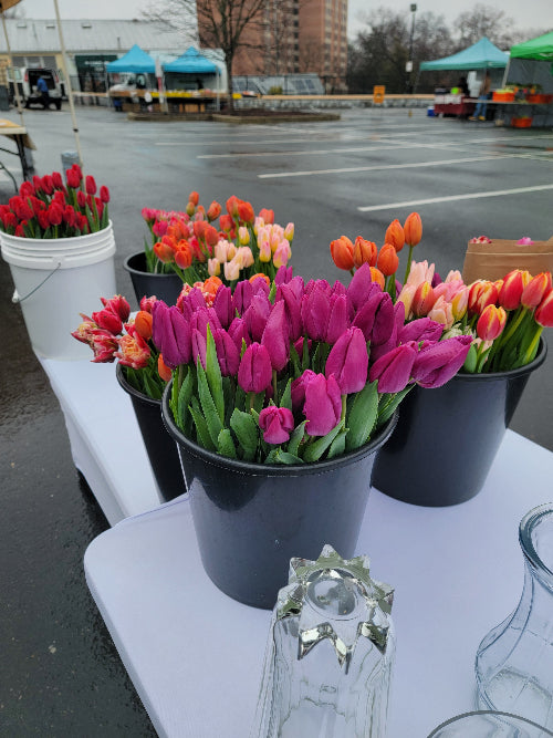 Bouquet of colorful tulips in a black container on a table outdoors.