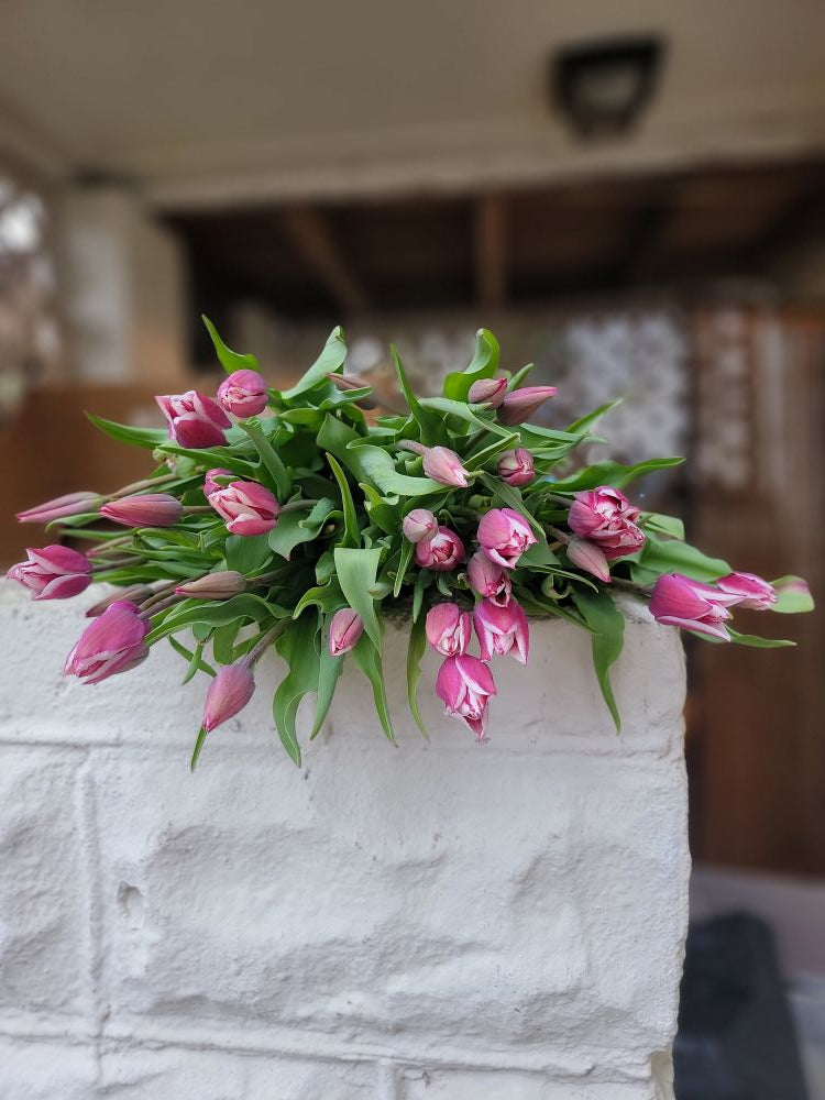 The Weekend Bouquet - Specialty tulips pick up Saturday 3/28