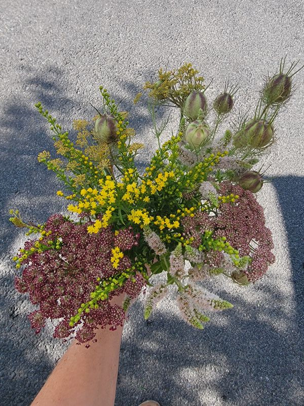 The Weekend Bouquet - Pick up Saturday 7/19