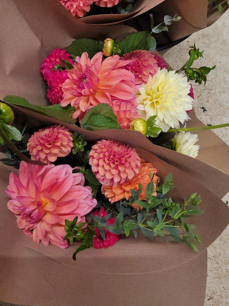 Dahlia Lovers Tuesday! - New Petworth Pick Up Option!