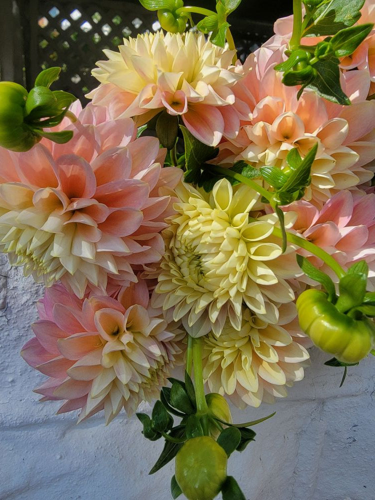 The Weekend Bouquet - Pick up Saturday 10/10