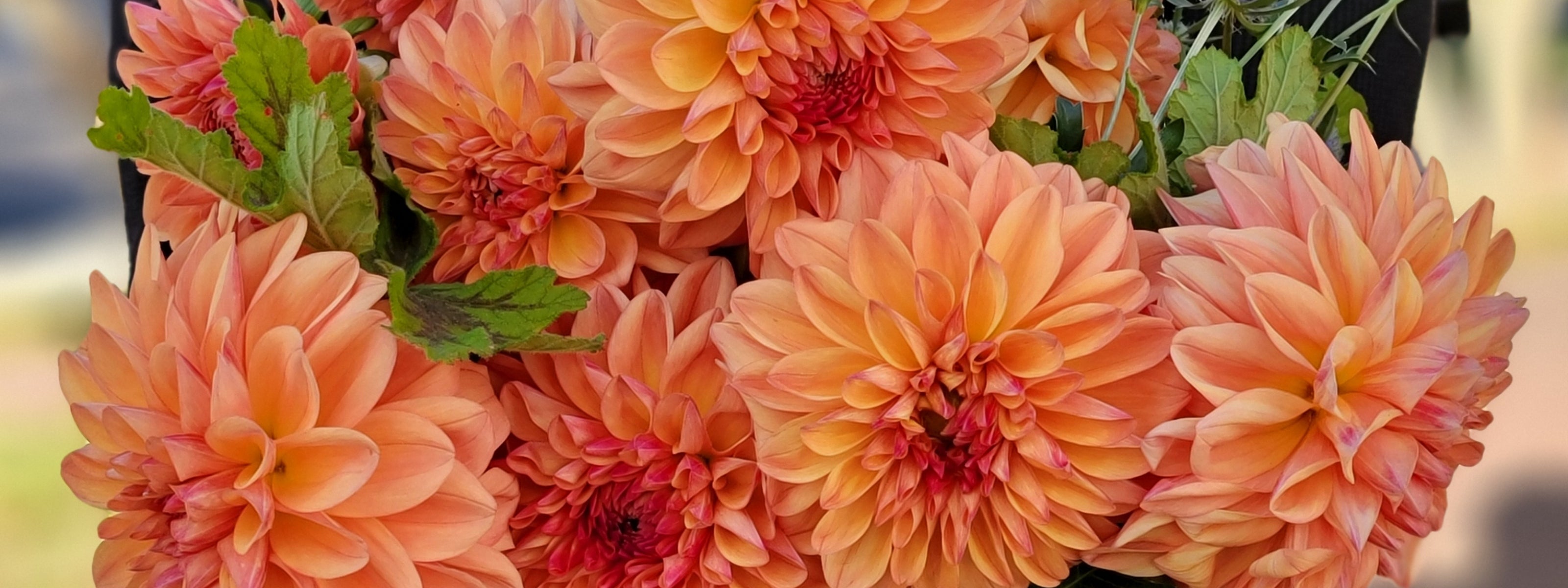 Buy a Bouquet