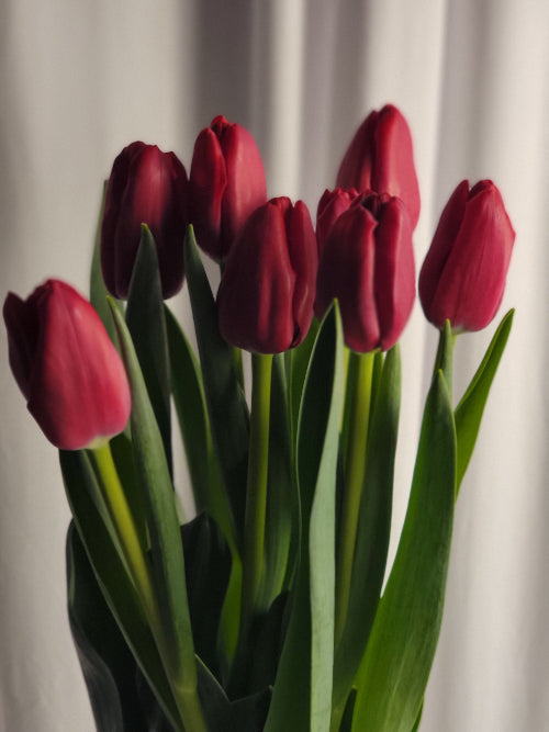 Valentine's Day is Coming!