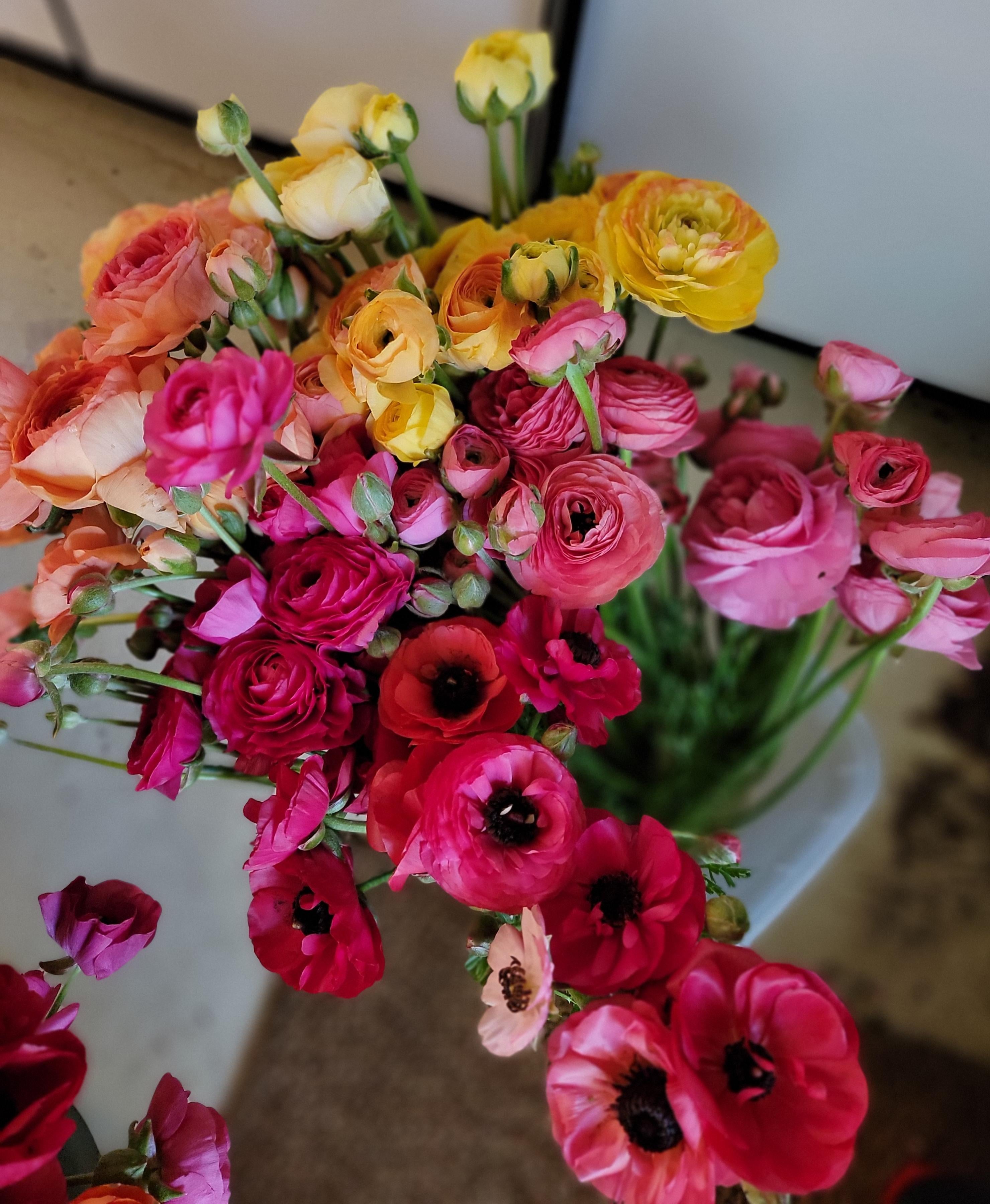 RANUNCULUS Subscription - TAKOMA PICK UP