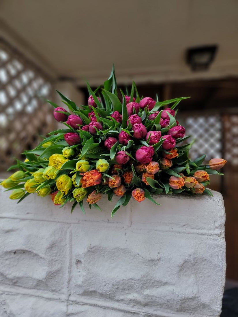 The Weekend Bouquet - Specialty tulips pick up Saturday 3/28