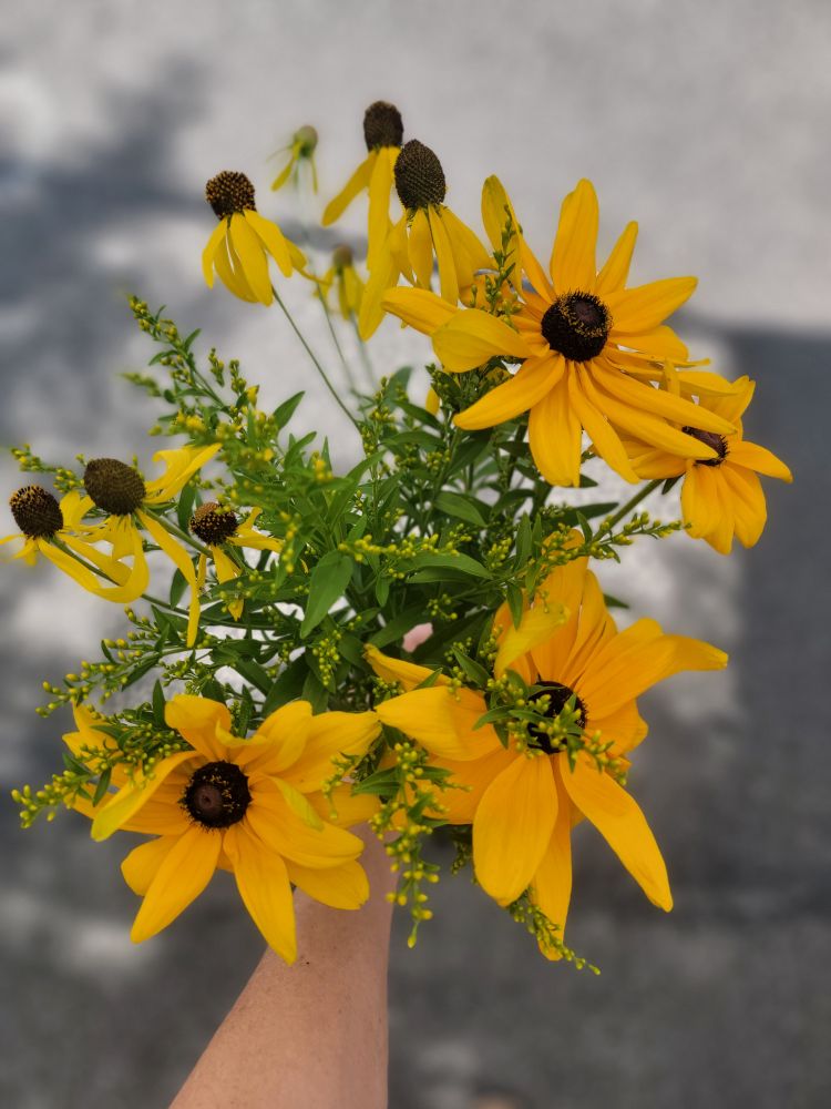 The Weekend Bouquet - Pick up Saturday 7/19
