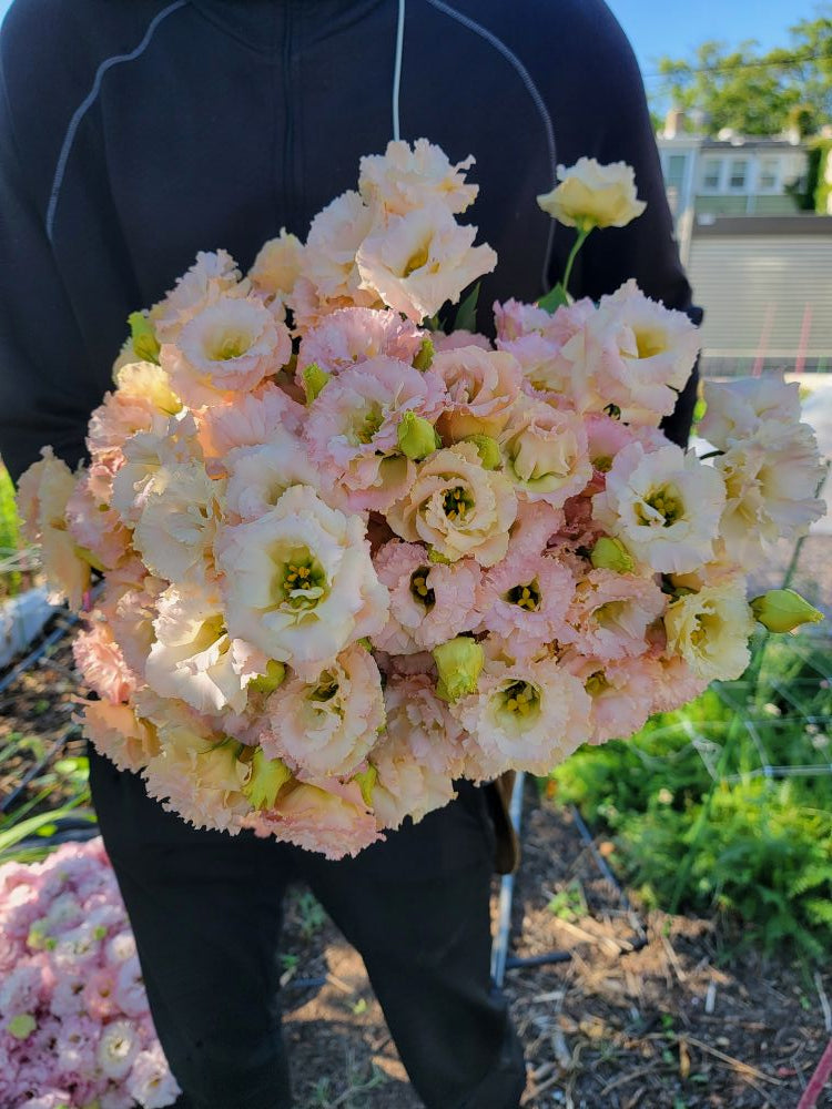 The Weekend Bouquet - Pick up Saturday 8/15
