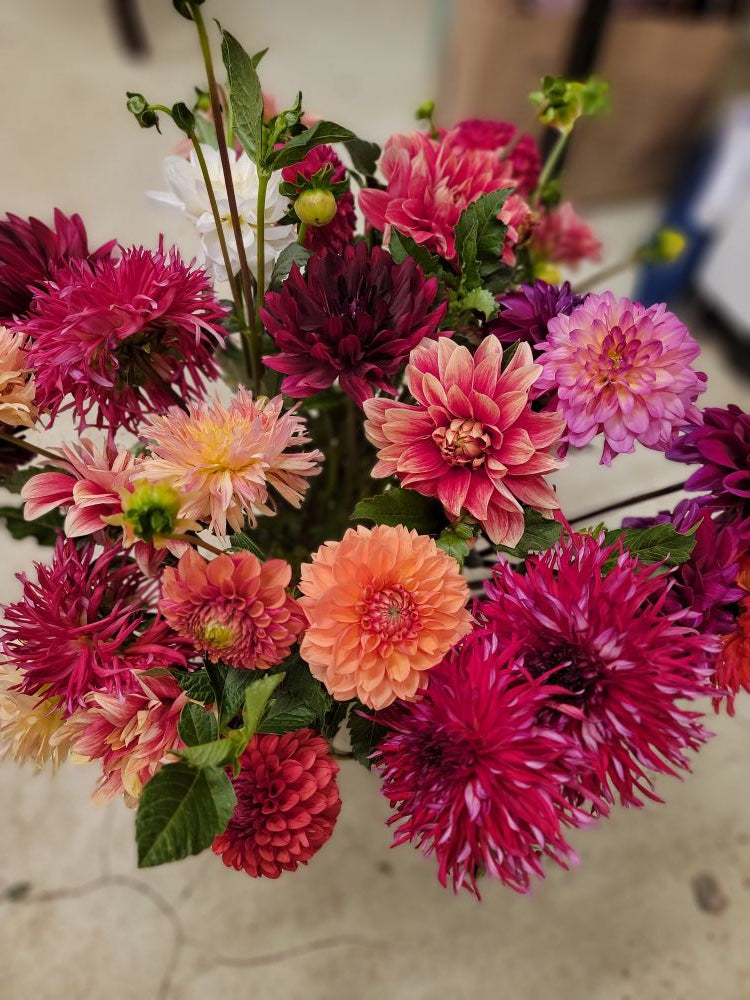 The Weekend Bouquet - Pick up Saturday 9/5