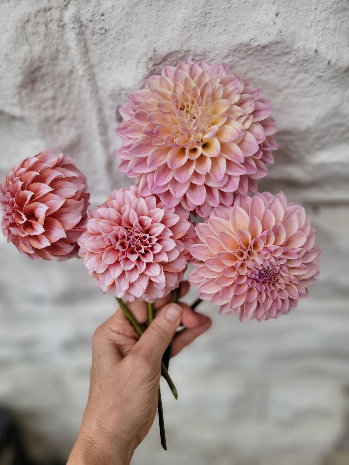 The Weekend Bouquet - Pick up Saturday 9/5