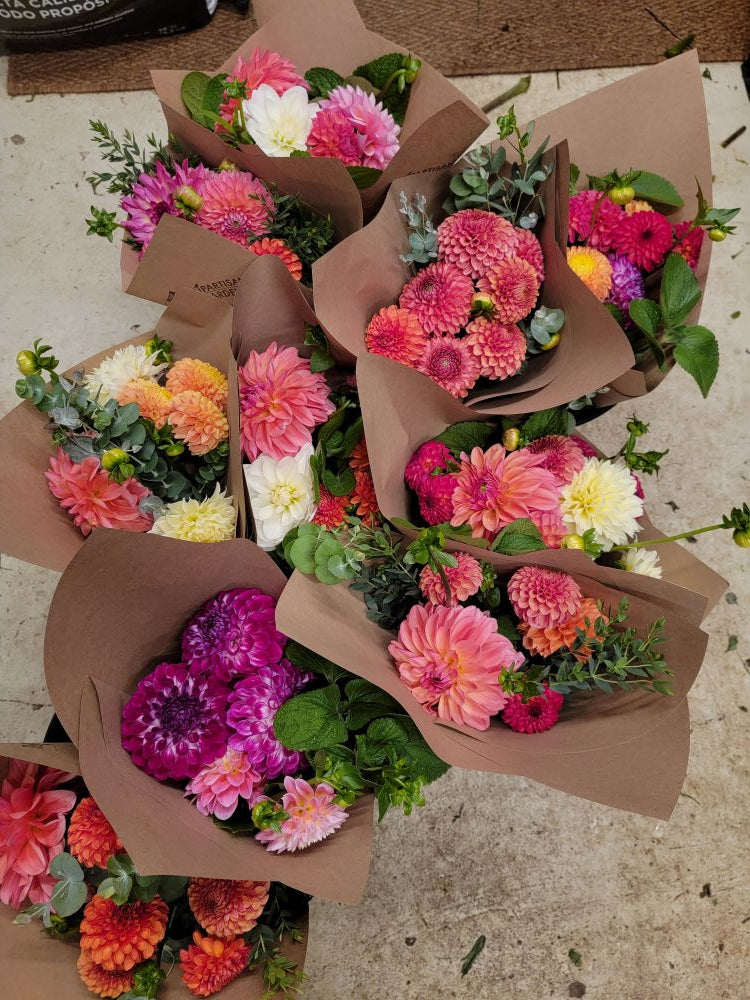 Dahlia Lovers Tuesday! - New Petworth Pick Up Option!