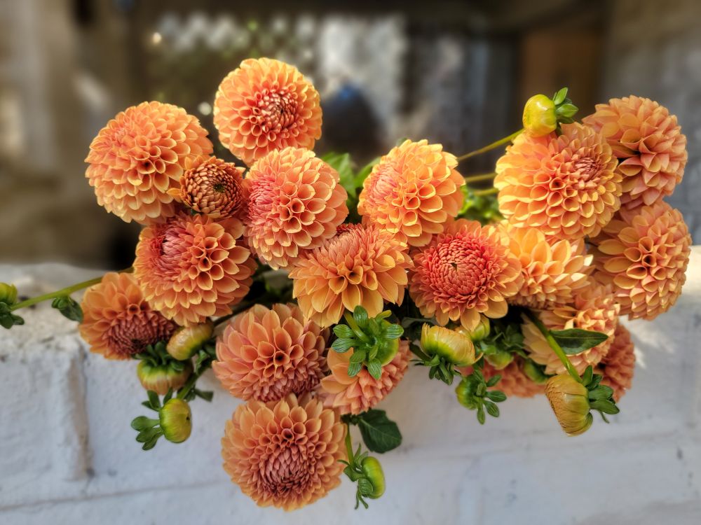 The Weekend Bouquet - Pick up Saturday 10/10